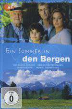 Ein Sommer in den Bergen Box Art