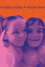 Smashing Pumpkins Siamese Dream Box Art