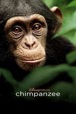 Chimpanzee Box Art