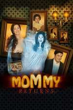 The Mommy Returns Box Art