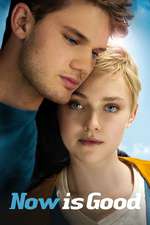 Now Is Good Box Art