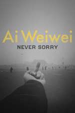 Ai Weiwei: Never Sorry Box Art