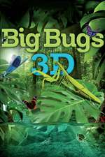 Big Bugs 3D Box Art