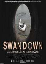 Swandown Box Art