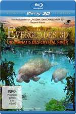 Abenteuer Everglades - Die Manatis des Crystal River Box Art