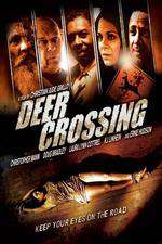 Deer Crossing Box Art