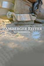 Bamberger Reiter. Ein Frankenkrimi Box Art