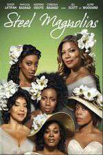 Steel Magnolias Box Art