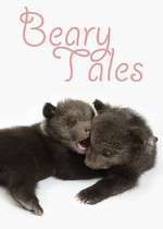 Beary Tales Box Art