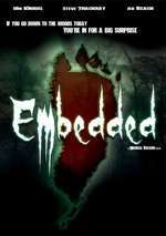 Embedded Box Art