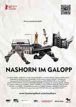 Nashorn im Galopp Box Art