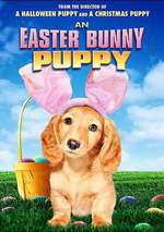 An Easter Bunny Puppy Box Art