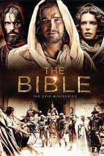 The Bible Box Art