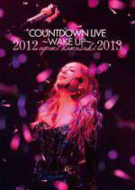 Ayumi Hamasaki Countdown Live 2012-2013 A: Wake Up Box Art