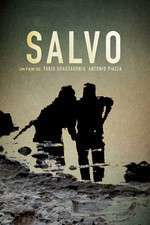 Salvo Box Art