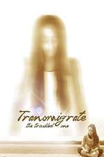 Transmigrate: The Troubled One Box Art