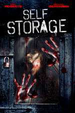 Self Storage Box Art