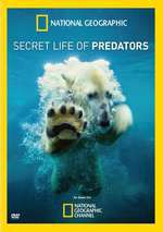 Secret Life of Predators Box Art