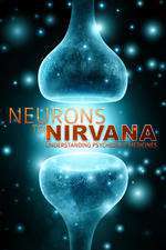 Neurons to Nirvana Box Art