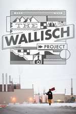 The Wallisch Project Box Art