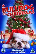 A Bulldog for Christmas Box Art