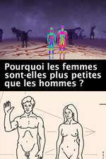 Pourquoi les femmes sont-elles plus petites que les hommes? Box Art