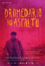 Dromedário no Asfalto Box Art