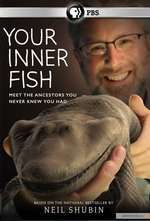 Your Inner Fish Box Art