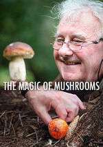 The Magic Of Mushrooms Box Art