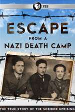 Escape From a Nazi Death Camp Box Art