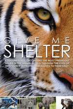 Give Me Shelter Box Art