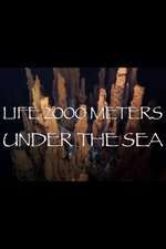 Life 2,000 Meters Under the Sea Box Art