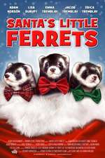 Santa's Little Ferrets Box Art