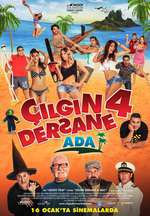 Çılgın Dersane 4 - Ada Box Art