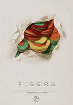 Fibers Box Art