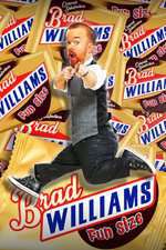 Brad Williams: Fun Size Box Art