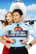 Larry Gaye: Renegade Male Flight Attendant Box Art