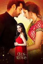 Bin Roye Box Art