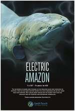 Electric Amazon Box Art