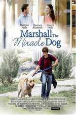 Marshall the Miracle Dog Box Art