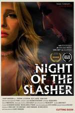 Night of the Slasher Box Art