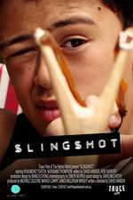 Slingshot Box Art