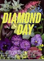 Diamond Day Box Art