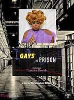 Gays in Prison Box Art