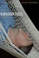 Karaseen Falls Box Art