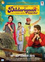 Dildariyaan Box Art