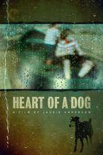 Heart of a Dog Box Art