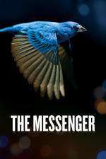 The Messenger Box Art