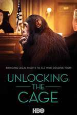 Unlocking the Cage Box Art