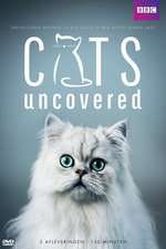 Cats Uncovered Box Art